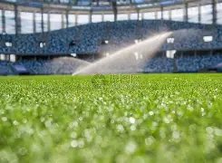 伯恩利英冠,轮仅失,场零封,九游会官网,九游会真人,九游会互动,九游会娱乐,九游会中心