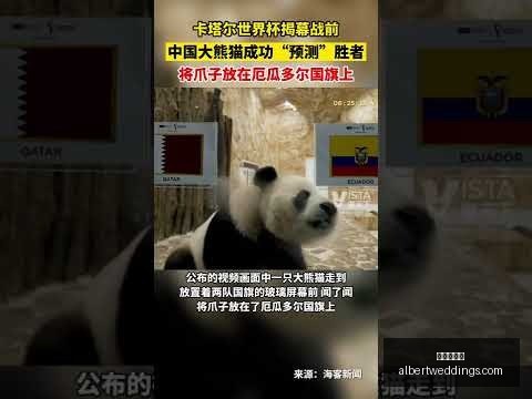 意甲,新星身价榜,最新揭晓,九游会官网,九游会真人,九游会互动,九游会娱乐,九游会中心